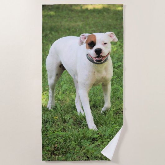 Boxer Strandtuch (Vorderseite)