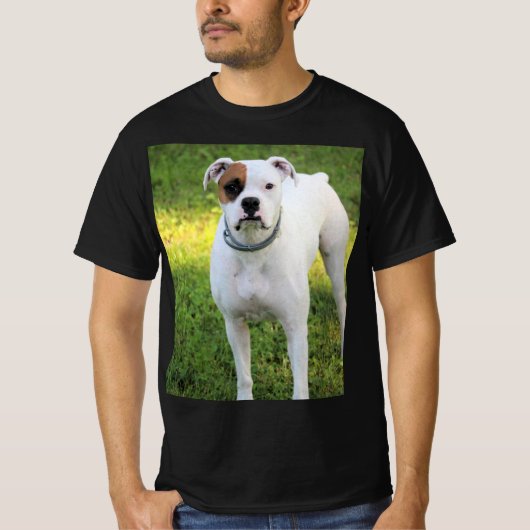 Boxer T-Shirt (Vorderseite)