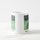 Boxer-Tasse Kaffeetasse (Mittel)