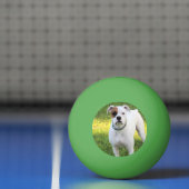 Boxer Tischtennisball (Netto)