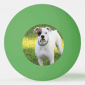 Boxer Tischtennisball (Rückseite)