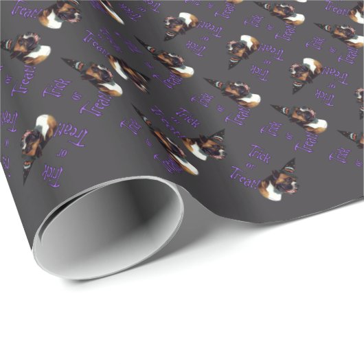 Boxer Trick Geschenkpapier (Rolleneckpunkt)