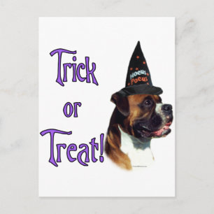 Boxer Trick Postkarte