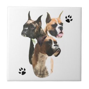 Boxer Trio Fliese