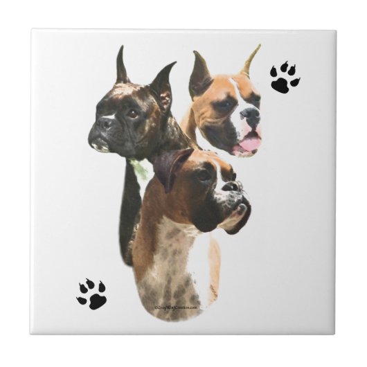 Boxer Trio Fliese (Vorderseite)