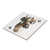 Boxer Trio Fliese (Seite)