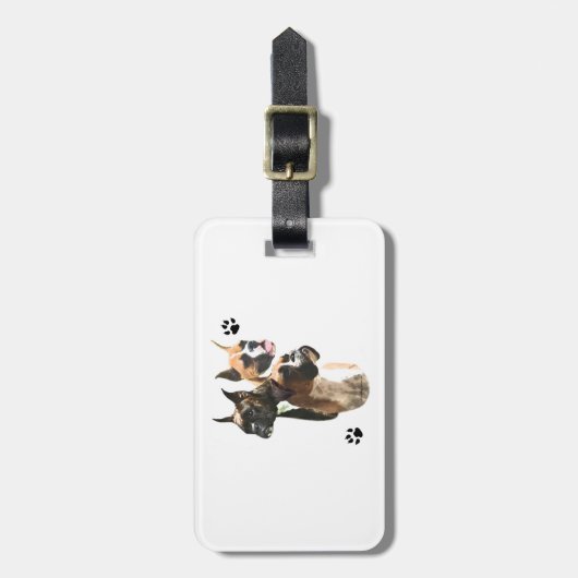 Boxer Trio Gepäckanhänger (Vorderseite vertikal)