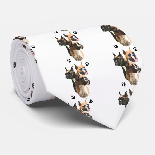 Boxer Trio Krawatte (Gerollt)