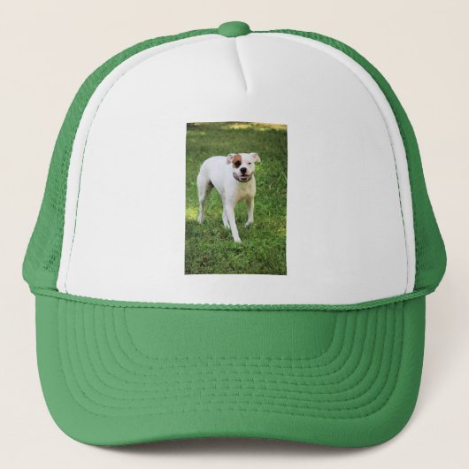 Boxer Truckerkappe (Vorderseite)