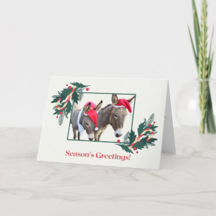 Boxer und Benjamin wünschen Ihnen frohe Feiertage! Feiertagskarte