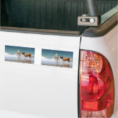 Boxer und Kumpel - dass war ein Delphin? Autoaufkleber (Auf Lkw)