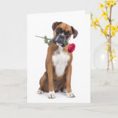 Boxer Valentine – Treues Herz, Spielende Seele Karte (Gelbe Blume)