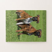 Boxer verfolgt Porträt Puzzle (Horizontal)