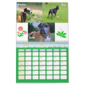 Boxer-verrückter Kalender 2011 (Mär 2027)