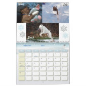 Boxer-verrückter Kalender 2011 (Feb 2027)