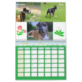 Boxer-verrückter Kalender 2011 (Mär 2026)