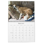 Boxer-verrückter Kalender 2012 (Mär 2027)