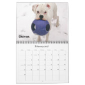 Boxer-verrückter Kalender 2012 (Feb 2027)
