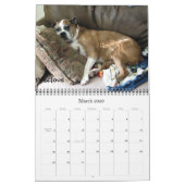 Boxer-verrückter Kalender 2012 (Mär 2026)