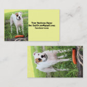 Boxer Visitenkarte (Vorne/Hinten)