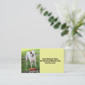 Boxer Visitenkarte (Stehend Vorderseite)