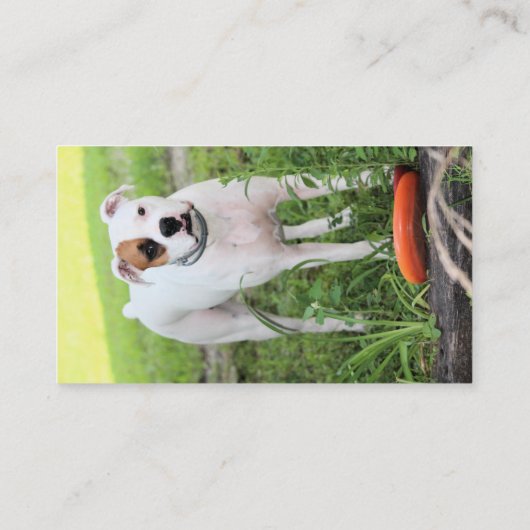 Boxer Visitenkarte (Rückseite)