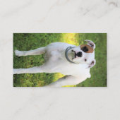 Boxer Visitenkarte (Rückseite)