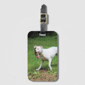Boxer Visitenkartengehäuse Gepäckanhänger (Vorderseite Vertikal)