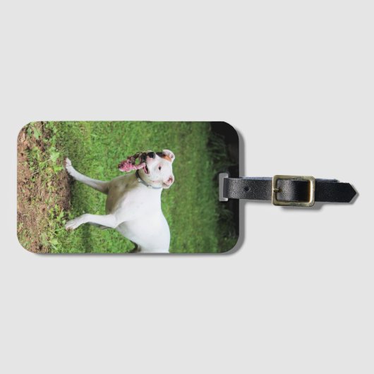 Boxer Visitenkartengehäuse Gepäckanhänger (Vorderseite (Horizontal))