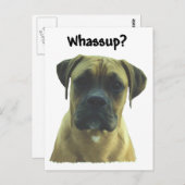 Boxer: Was? Postkarte (Vorne/Hinten)