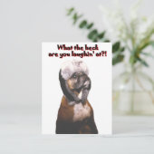 Boxer: Was zum Heck! Postkarte (Stehend Vorderseite)