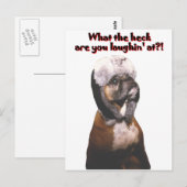 Boxer: Was zum Heck! Postkarte (Vorne/Hinten)