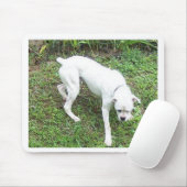 Boxer-weißer Welpe voll Mousepad (Mit Mouse)
