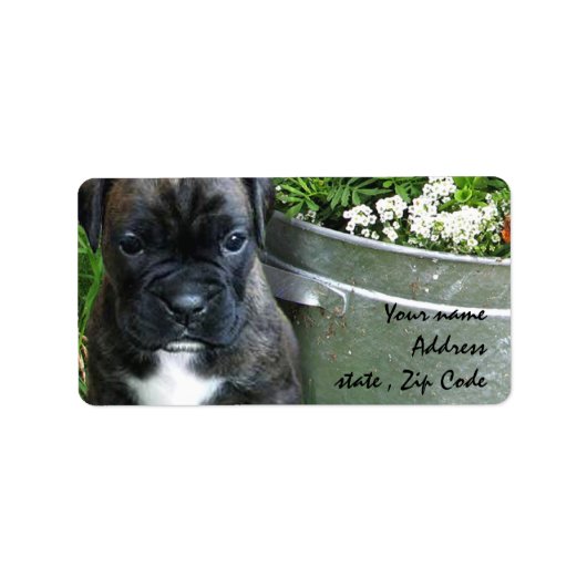 Boxer Welpe Adressaufkleber (Vorne)