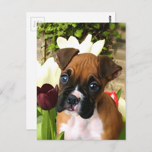 Boxer Welpe in Tulpen Postkarte (Vorne/Hinten)