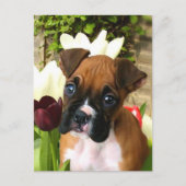 Boxer Welpe in Tulpen Postkarte (Vorderseite)