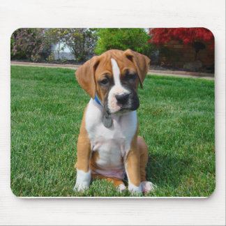 Boxer-Welpe Mousepad