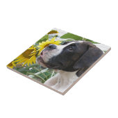 Boxer-Welpe und Sonnenblumen Fliese (Seite)