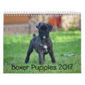 Boxer-Welpen 2017 Kalender (Titelbild)