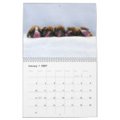 Boxer-Welpen 2017 Kalender (Jan 2027)