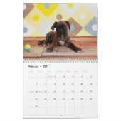Boxer-Welpen 2017 Kalender (Feb 2027)