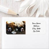 Boxer-Welpen-Adressenmarken (Insitu)