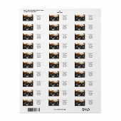 Boxer-Welpen-Adressenmarken (Vorne)