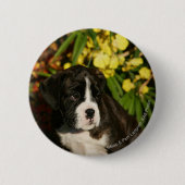 Boxer-Welpen Button (Vorderseite)