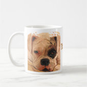 Boxer-Welpen-Gesichtsweiß mit der Tasse des (Links)