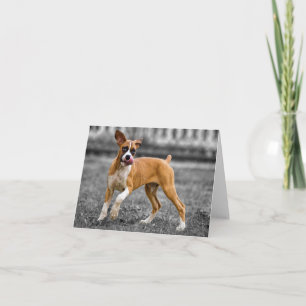 Boxer-Welpen-Hund-Notizkarte leer Karte