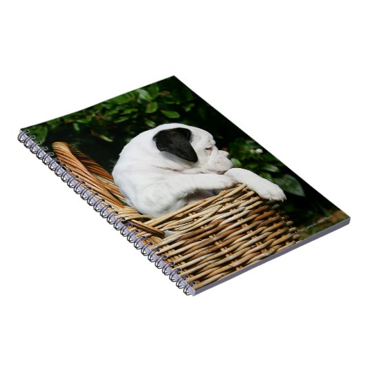 Boxer-Welpen im Korb Notizblock (Rechte Seite)