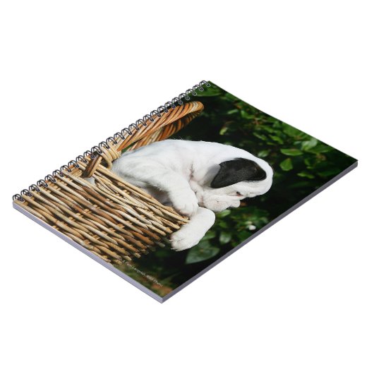 Boxer-Welpen im Korb Notizblock (Linke Seite)