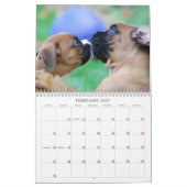 Boxer-Welpen-Kalender 2013 Kalender (Feb 2027)