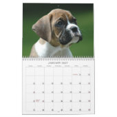 Boxer-Welpen-Kalender 2013 Kalender (Jan 2027)
